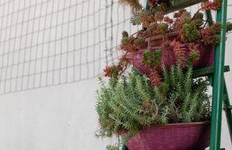 il Quadrifoglio camere in stile vintage - Foto 27