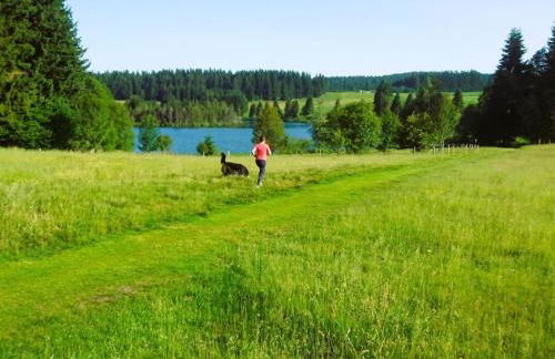 Holiday home in Weitnau with swimming pool - Photo 34