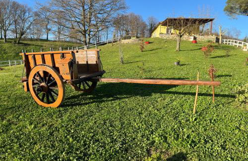 Villa Matilde - Foto 2