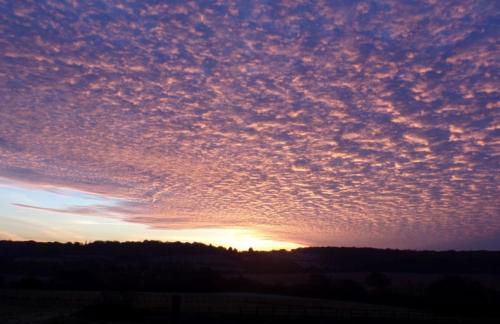 Chapter Farm Cottages - Foto 4