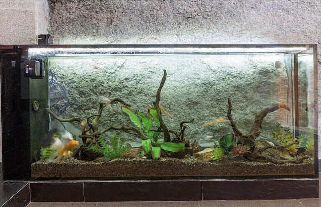 Casa da fonte - Foto 59