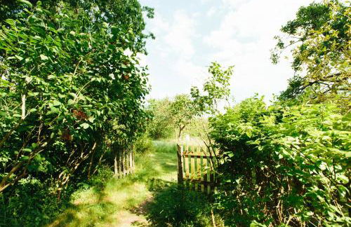 Feriendomizil Alter Garten - Photo 33