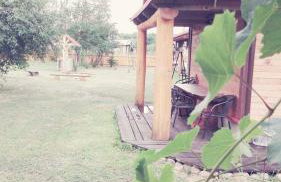 Chata Białowieska Pod Bocianem - Foto 34