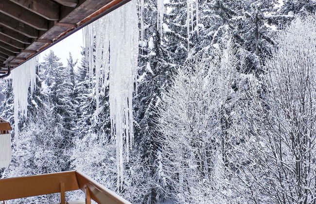 Terrasse Des Alpes 3008 - Foto 27