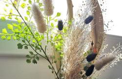 L'Essentiel - Love 5 Etoiles - Foto 24