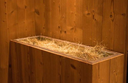 Apartments Hubertushof - Foto 44