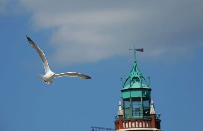 Holiday Apartment Weserweitblick - Photo 15