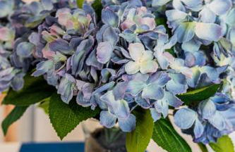 Vivienda Vacacional El Tucan - Foto 8