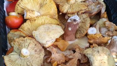 Eleni Country Cottage 2 - Foto 5