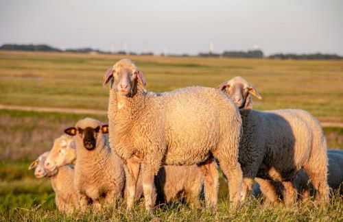 Leichte Brise - Foto 24