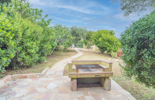 Valle degli Oleandri (REI185) - Foto 5