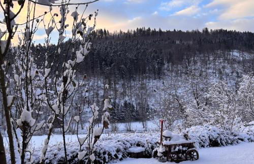 Waldblick Glatt - Photo 29