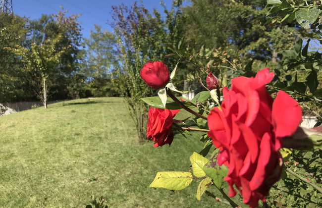 Oasi del Vetoio - Photo 27