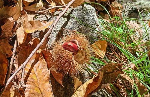 Casa Adamossi Lombardini - Foto 62
