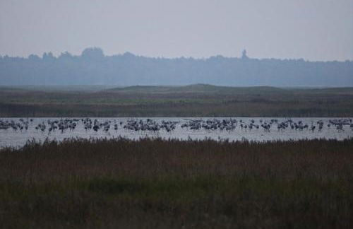 Ferienhaus Tura - Foto 38