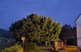 Apartamentos Castello - Foto 68