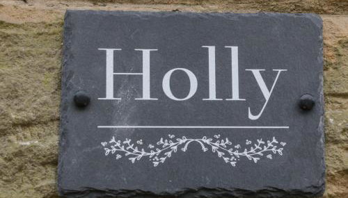 Holly Cottage - Foto 2