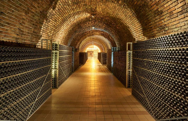 Tour privado pelas vinícolas de Luján de Cuyo + Degustação de espumantes - Foto 1