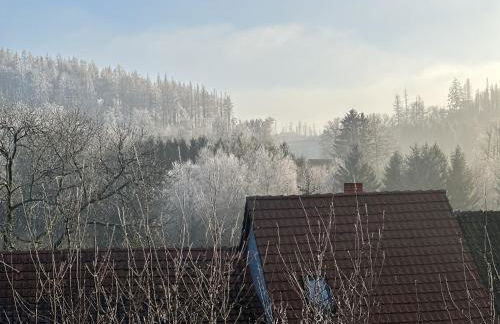 Harz Apartment 'Storchennest' mit Seeblick - Bubo am See - Photo 25