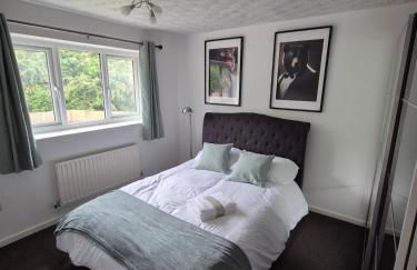 Bright & Cozy 3 Bed House with Parking - Photo 5