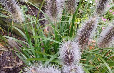 Apartament przy Lesie - Domki u Piotrusia - Foto 22