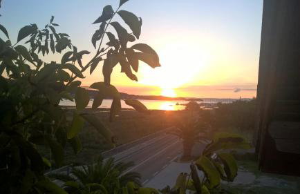 Apartments Olivera - Foto 6