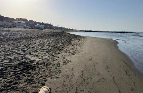 L'Isola che non c'è - Attico e SuperAttico Fronte Mare - Photo 78