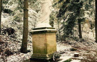 Les Perruchons ancienne grange rénovée avec soin - Foto 60