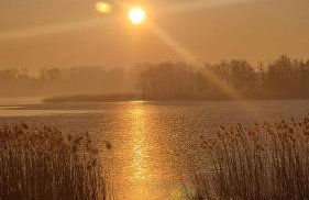 Siedlisko na łące - Foto 48