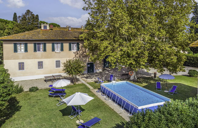 Scaletta + GIrasole - Foto 2