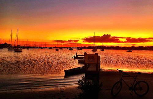 Charming Modern Valrico Getaway - Pets Welcome - Foto 73