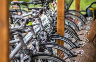 Bliżej Natury - Foto 30