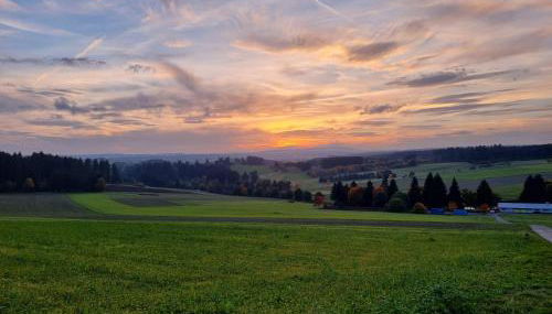Schöne 2-Zimmer Ferienwohnung - Foto 2