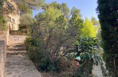 Le gîte sous les pins - Photo 14