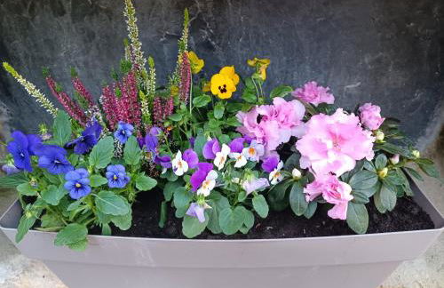 le petit moulin de Kerloroc - Foto 41