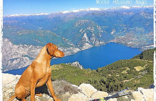 ViewLake Apartment - Foto 43