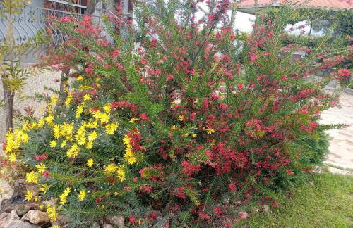 Elia by the sea - Photo 6