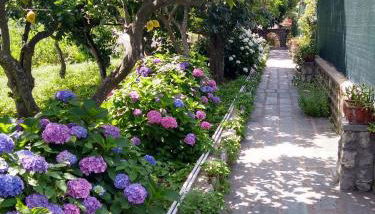 Depandance Casa Paolina - Foto 4