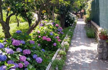 Depandance Casa Paolina - Foto 4