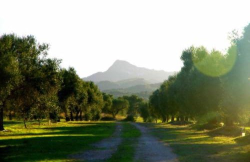 La Ultima Casa Masboquera - Foto 67