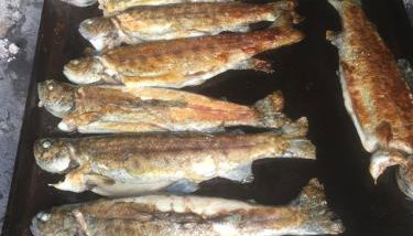 House Sara - Photo 2