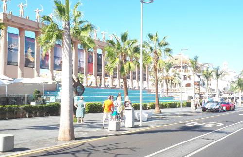 playa honda luxury - Photo 46