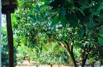 Vounaki Seaside Dreamland! - Foto 34