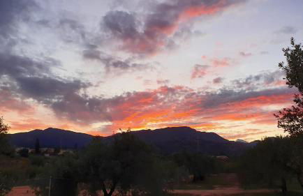 Agriturismo Corte Degli Ulivi - Foto 114