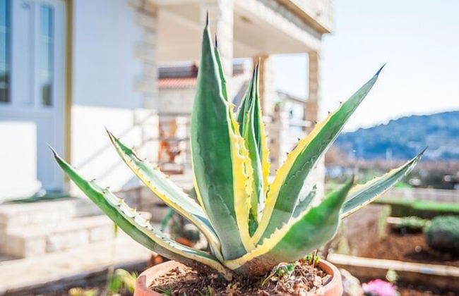 Apartments Irene's Place - Foto 46