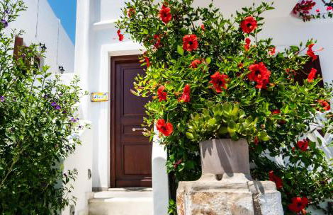 Maestralia - Photo 22