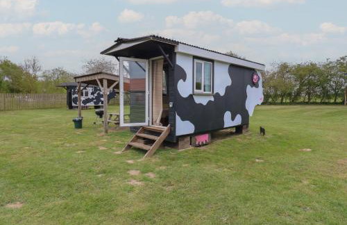 Betsy Cow Shed 2 - Foto 13