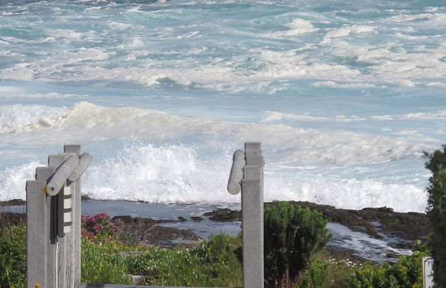 Ocean Edge Apartments - Photo 22