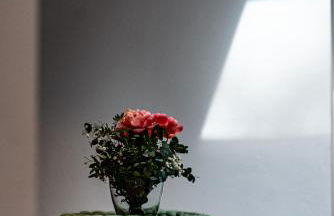 Glashaus mit 3 Gästezimmer - Foto 19