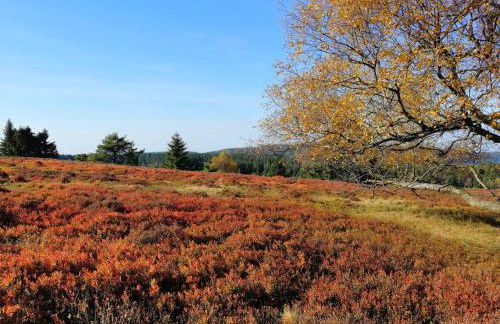 Apartment Katya - Photo 41